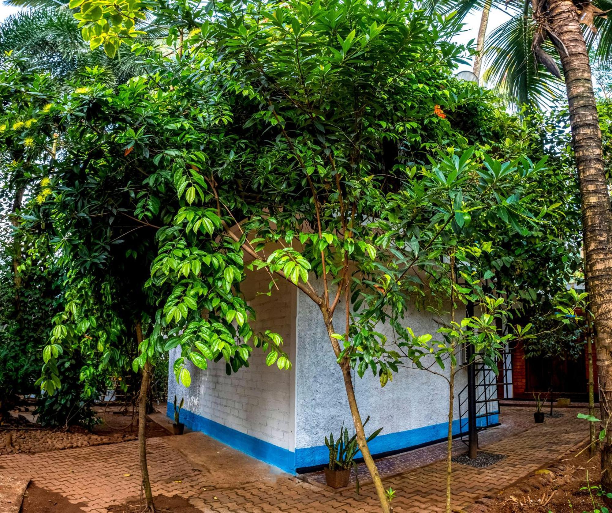 Jays Place Matale Kawudupelella Dış mekan fotoğraf